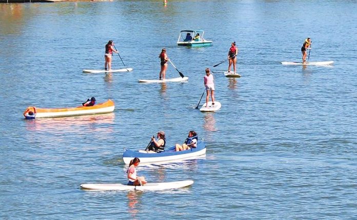 480557760_9524861536_20207