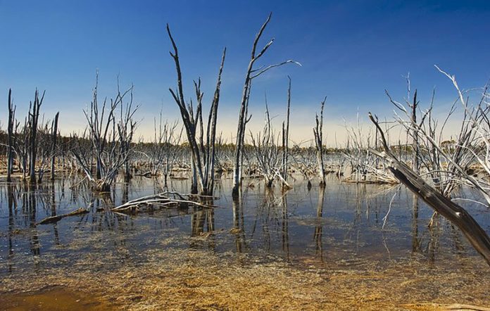 drought-image_73810