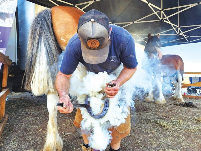 blacksmithing_87662
