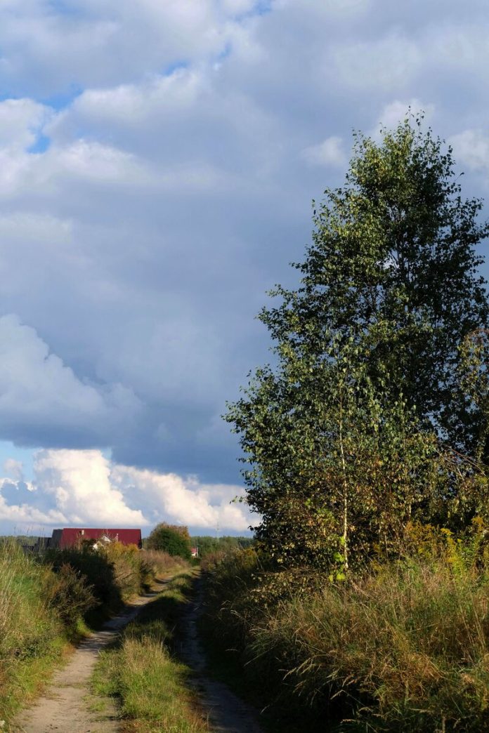 pexels-szafran-34374_21566