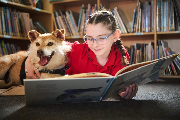 2025-10-17_StoryDogs_76038