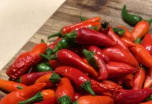 Garden glow: Keep your yard thriving through the heat