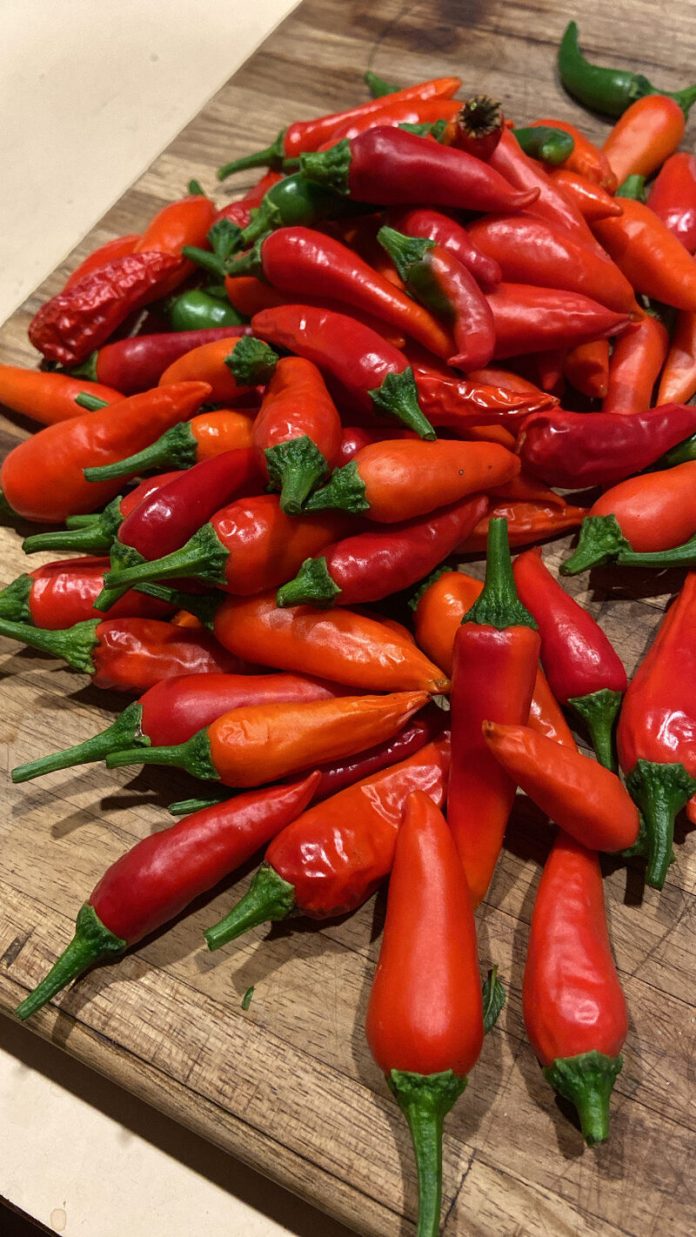 FD19B4B6-D6BB-42EB-9_25938