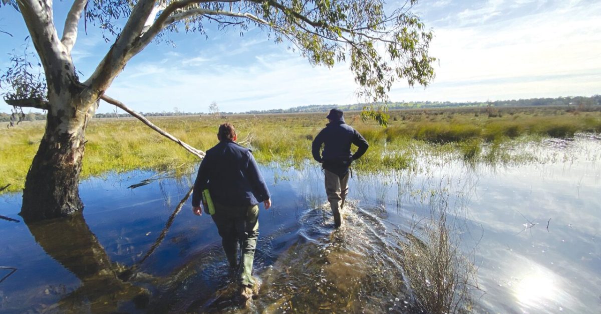 Developing priorities for local waterways - The Shepparton Adviser