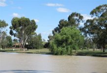 Blue-green algae in Kialla Lakes