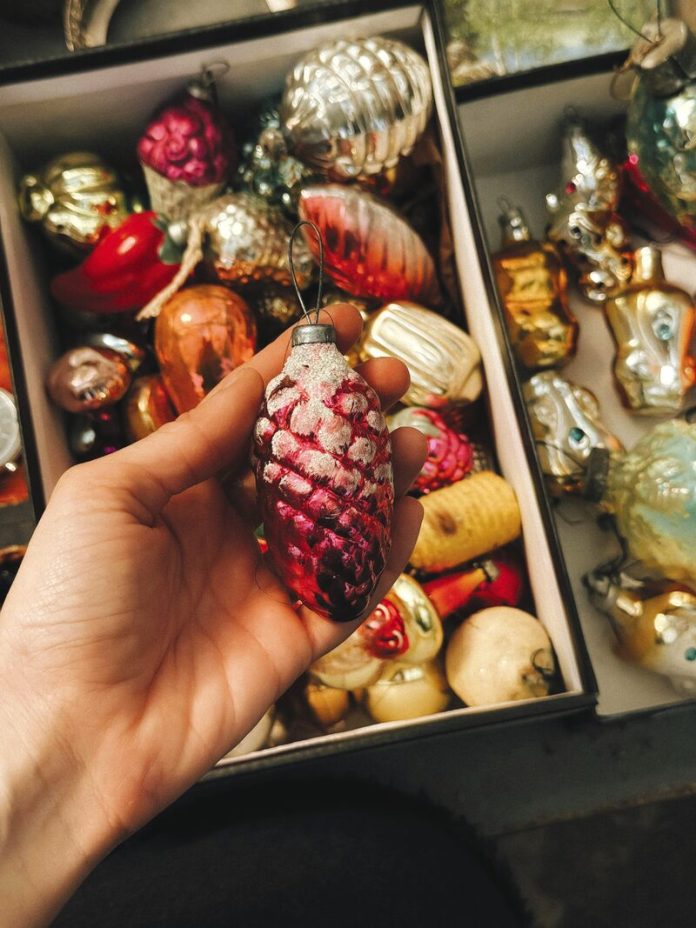 pexels-marina-zvada-_06605