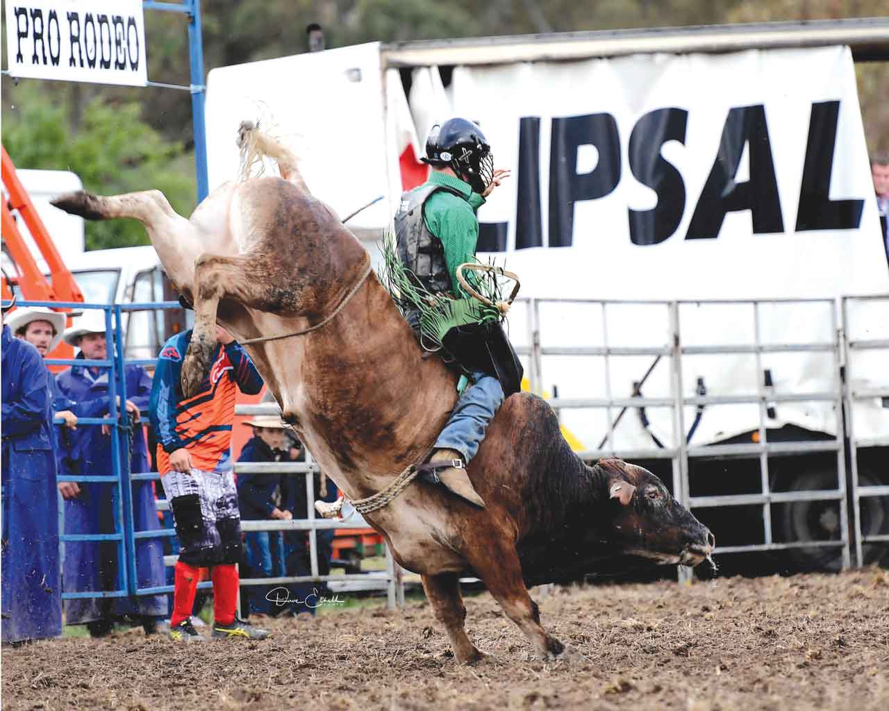 Cindy Alexander Rodeo Rider Ride into Alexandra - The Shepparton Adviser