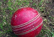 Big Bash on the big screen