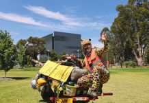 Catman paws his way through shepparton