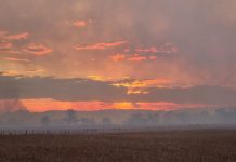 United after the flames