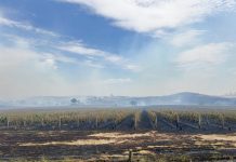 Longwood fire leaves wineries & farms counting heavy losses