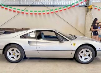 Little mouse a big hit