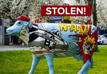 “Stolen Cow” Found