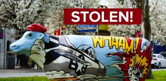 “Stolen Cow” Found