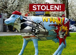 “Stolen Cow” Found