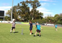Cricket harmony at Deakin Reserve