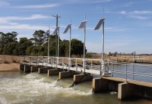 Have your say on Murray-Darling Basin Plan review