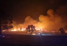 Two inquiries and no answers