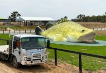 Big projects delivered at CVA