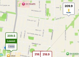 Petrol prices put under the spotlight
