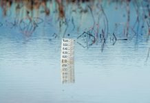 Why Shepparton Homeowners Can’t Afford to Wait on Water Damage