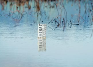 Why Shepparton Homeowners Can’t Afford to Wait on Water Damage