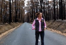 Call for firewood from bushfire breaks