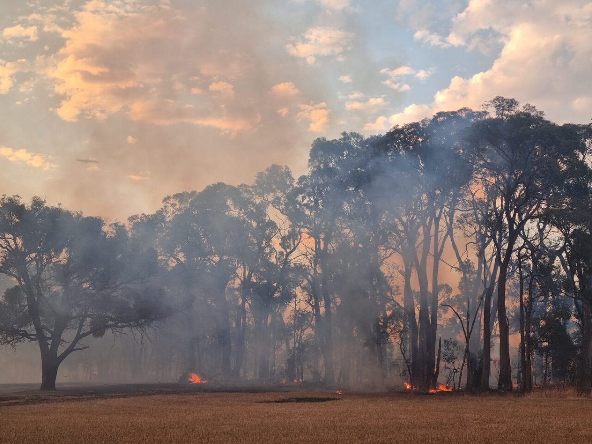 Bushfire housing support announced five months after fires - The ...