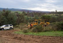 Bushfire recovery underway