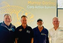 Campaigning against carp