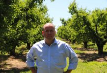 Birrell MP slams the Federal budget