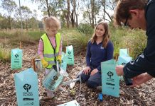 Roots planted in Shepparton spread around Australia
