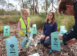 Roots planted in Shepparton spread around Australia