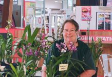 The state’s best orchidists sprout into Shepparton