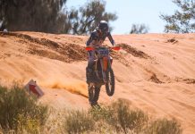 Queen of the desert