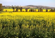 Council seeks clarity on Central North REZ