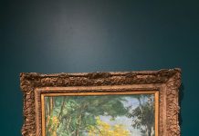 Thousands flock to SAM exhibition