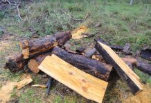 Illegal firewood warning for Greater Shepparton residents