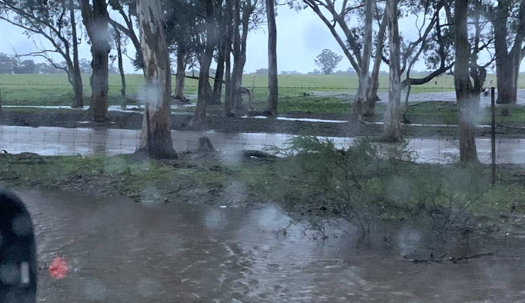 Heavy rain prompts flood watch - The Shepparton Adviser