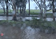 Heavy rain prompts flood watch