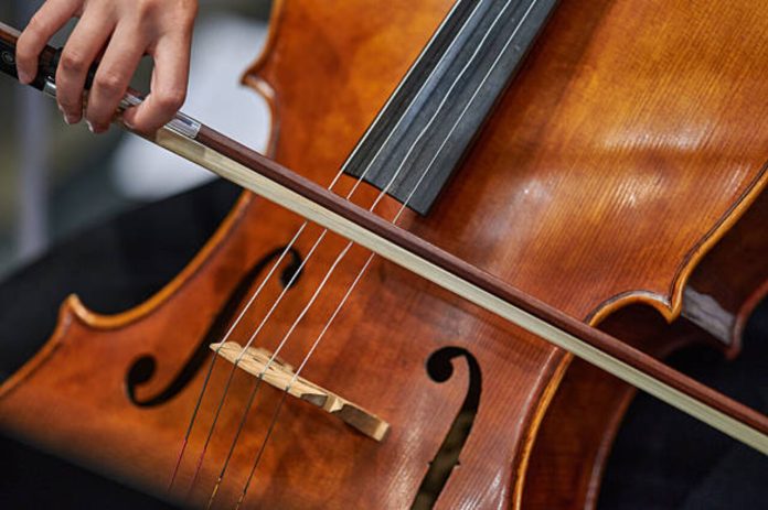 cello_37929