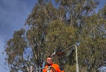 Switch on a career with serious potential