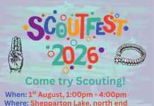 ScoutFest
