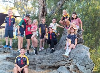 Jump into Scouts with Kialla Joeys