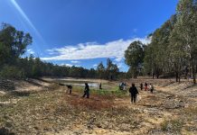Growing better environments for better health