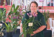 The state’s best orchidists sprout into Shepparton