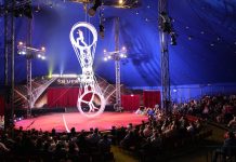 Last chance to experience Silvers Circus in Shepparton