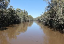 Rough sleeper saved from rising flood water