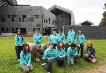 GSSC claim hat trick at Victorian Merino Wether Challenge