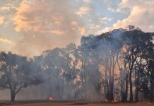 Permit relief for bushfire affected as recovery fund tops $1M